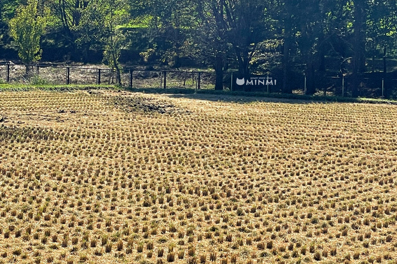 青空木曜日ヽ(^o^)丿_c0140599_13005059.jpg