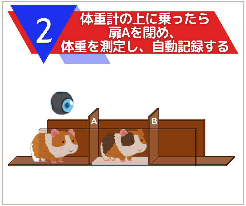 大牟田市動物園応援募金 第9弾！_c0290504_16161469.png