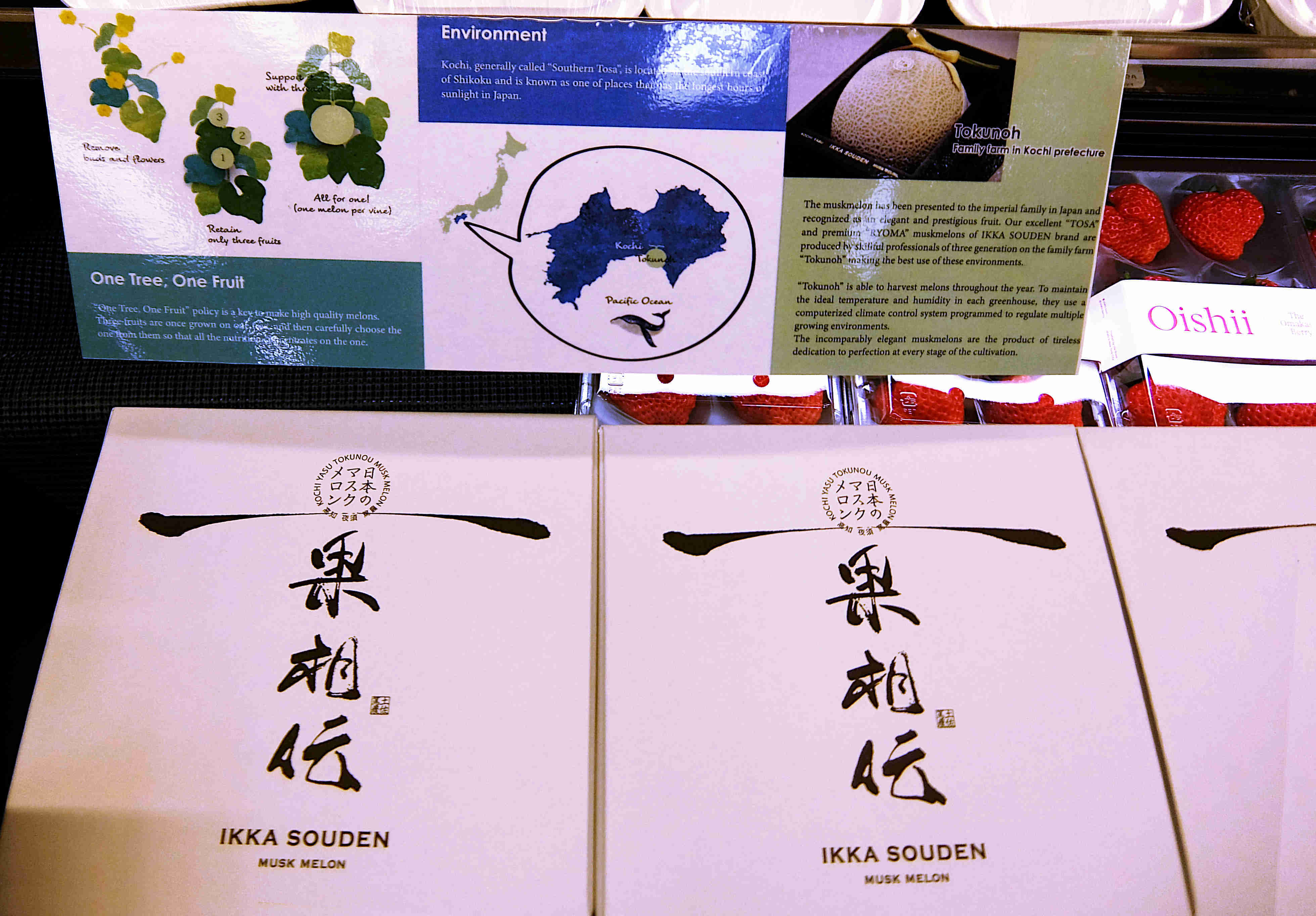 日本産の品々の認知度向上プロモーションに、日本食スーパー『Mitsuwa』（みつわ）は最適_b0007805_04542401.jpg