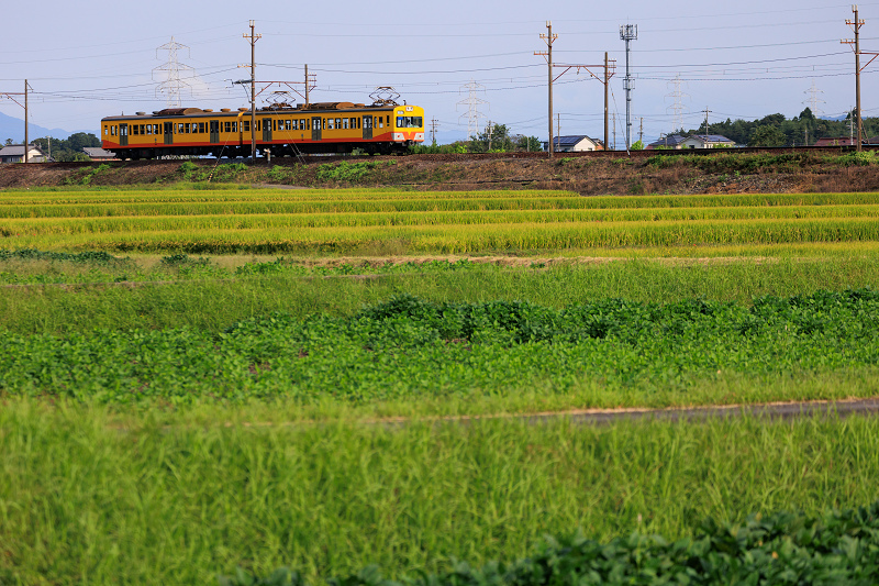 いなべの三岐鉄道と初秋の花たち_f0155048_20494588.jpg