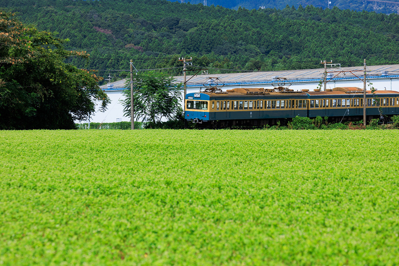 いなべの三岐鉄道と初秋の花たち_f0155048_20533124.jpg
