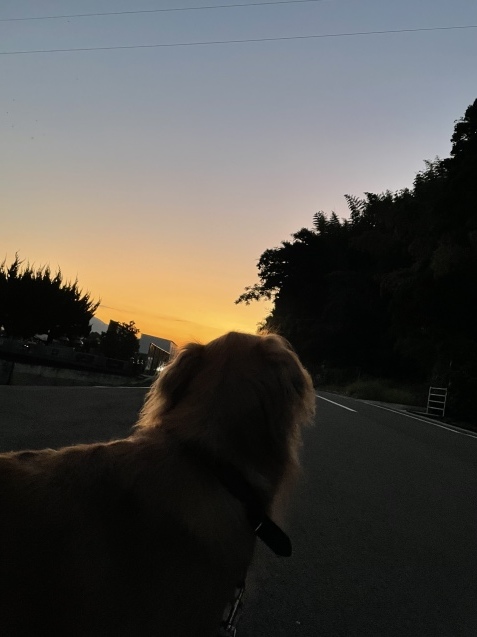 10月、愛しの秋到来。_a0394574_18352648.jpeg
