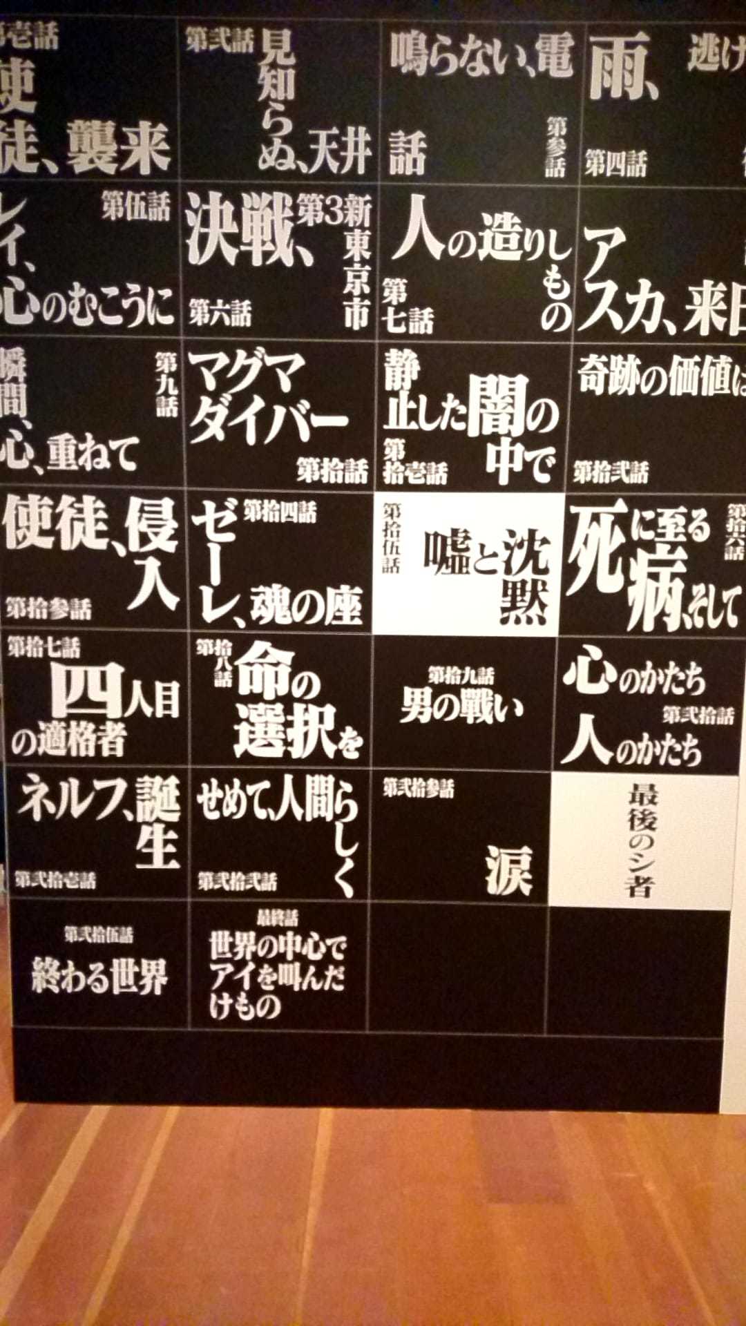 庵野秀明展 すごすぎです!!_e0046190_17492892.jpg