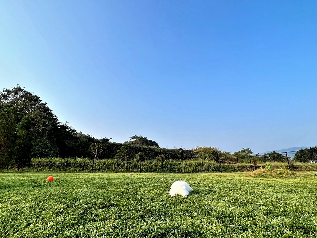 秋キャンプ・驚きの外気温_d0360206_18113818.jpg