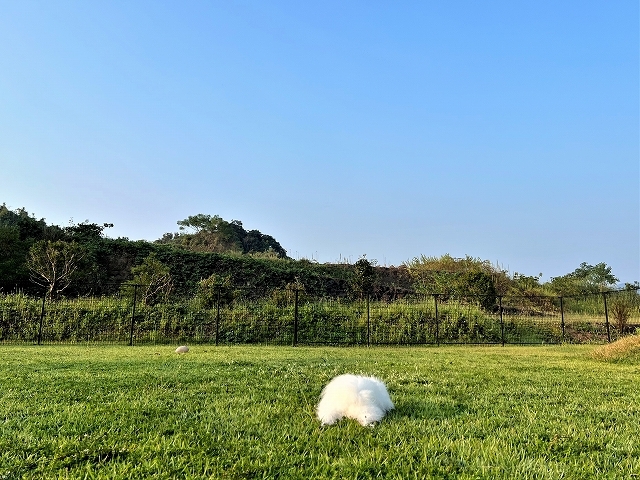 秋キャンプ・驚きの外気温_d0360206_18113844.jpg