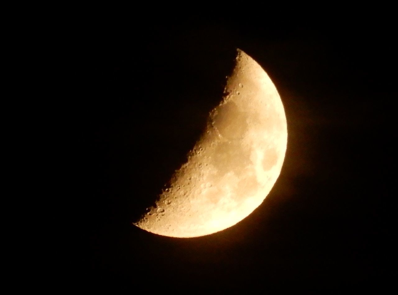 普通の秋に戻った日曜日_c0025115_22133821.jpg
