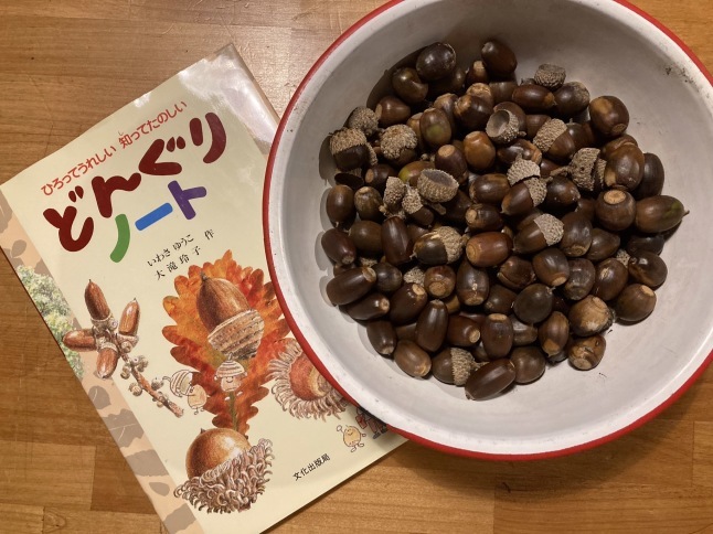 雑木林をつくろう第2弾 どんぐり大作戦2022_d0348118_16044252.jpeg