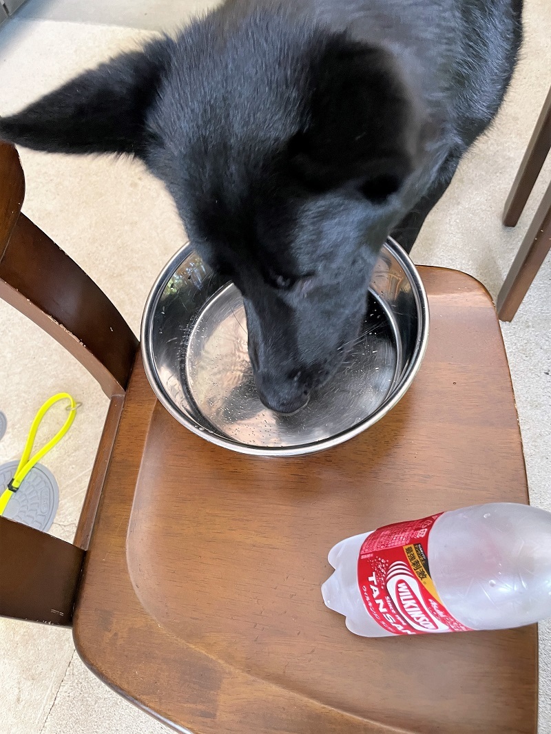 美味しいS4専用のSTIマフラー_f0076731_12290676.jpg