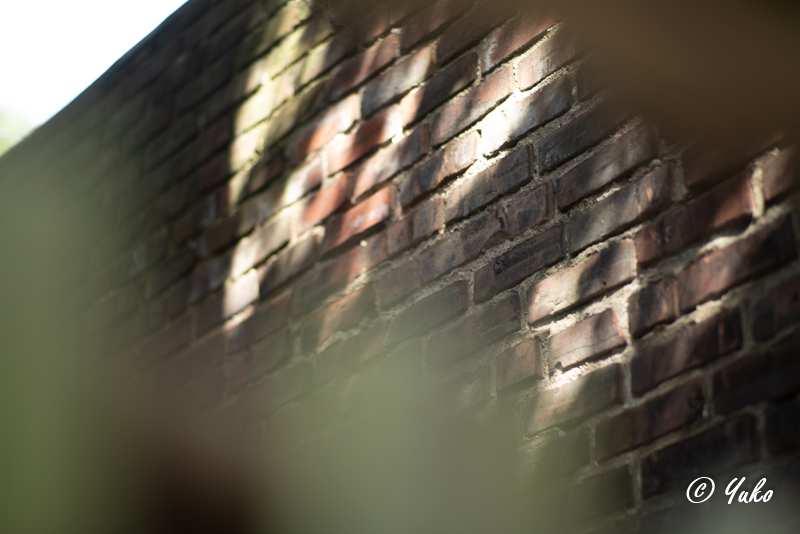 抽象写真 / abstract photo_e0400546_23384798.jpg