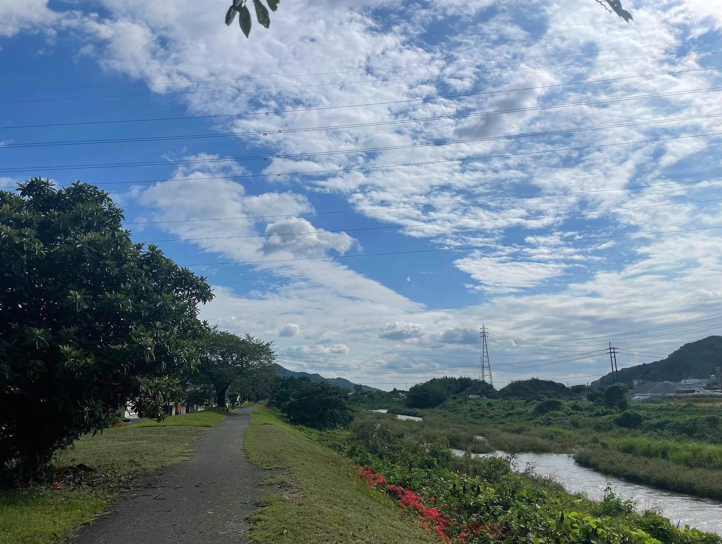 【25日目:宇都宮→高崎 105km】やっぱり100km走ることにしたよ 2022.9.21_b0002156_18304773.jpg