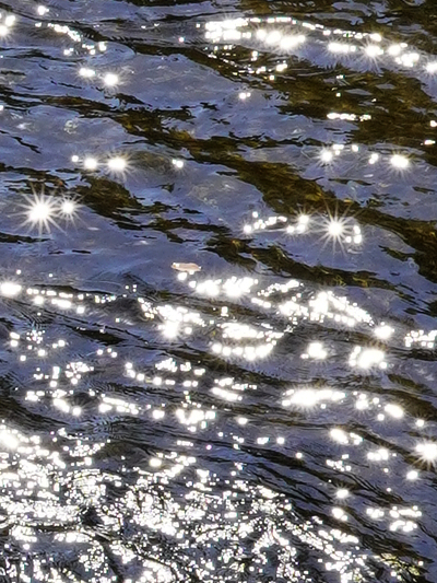 10月になりました_b0055196_08380728.jpg
