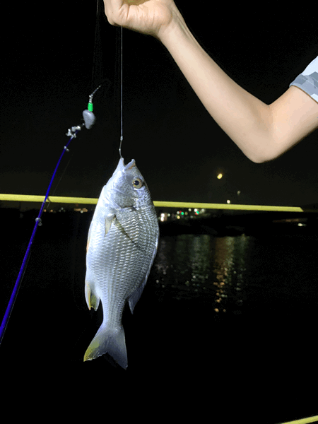 鶴見川で月光浴&夜釣りです。_c0309606_14493877.gif