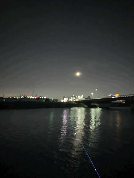鶴見川で月光浴&夜釣りです。_c0309606_14500354.gif