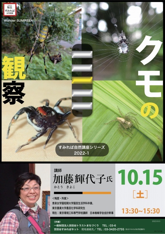 自然講座「クモの観察」開催！_b0049307_17160516.jpg