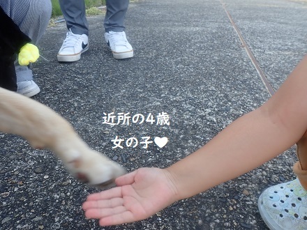 いろいろ日曜日。_c0182012_11280711.jpg