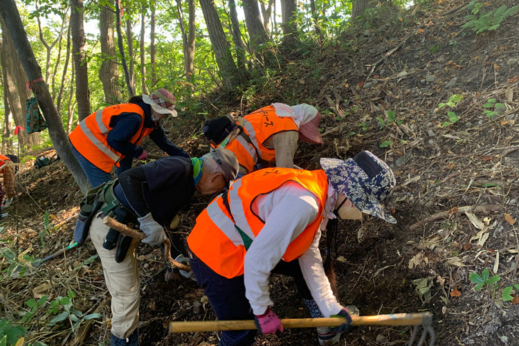 10/1(土)髙川山林 北尾根斜面の遊歩道作り、笹刈り_c0173813_10341602.jpg