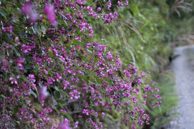花脊別所から美山「茅葺の里へ」_e0048413_21202247.jpg