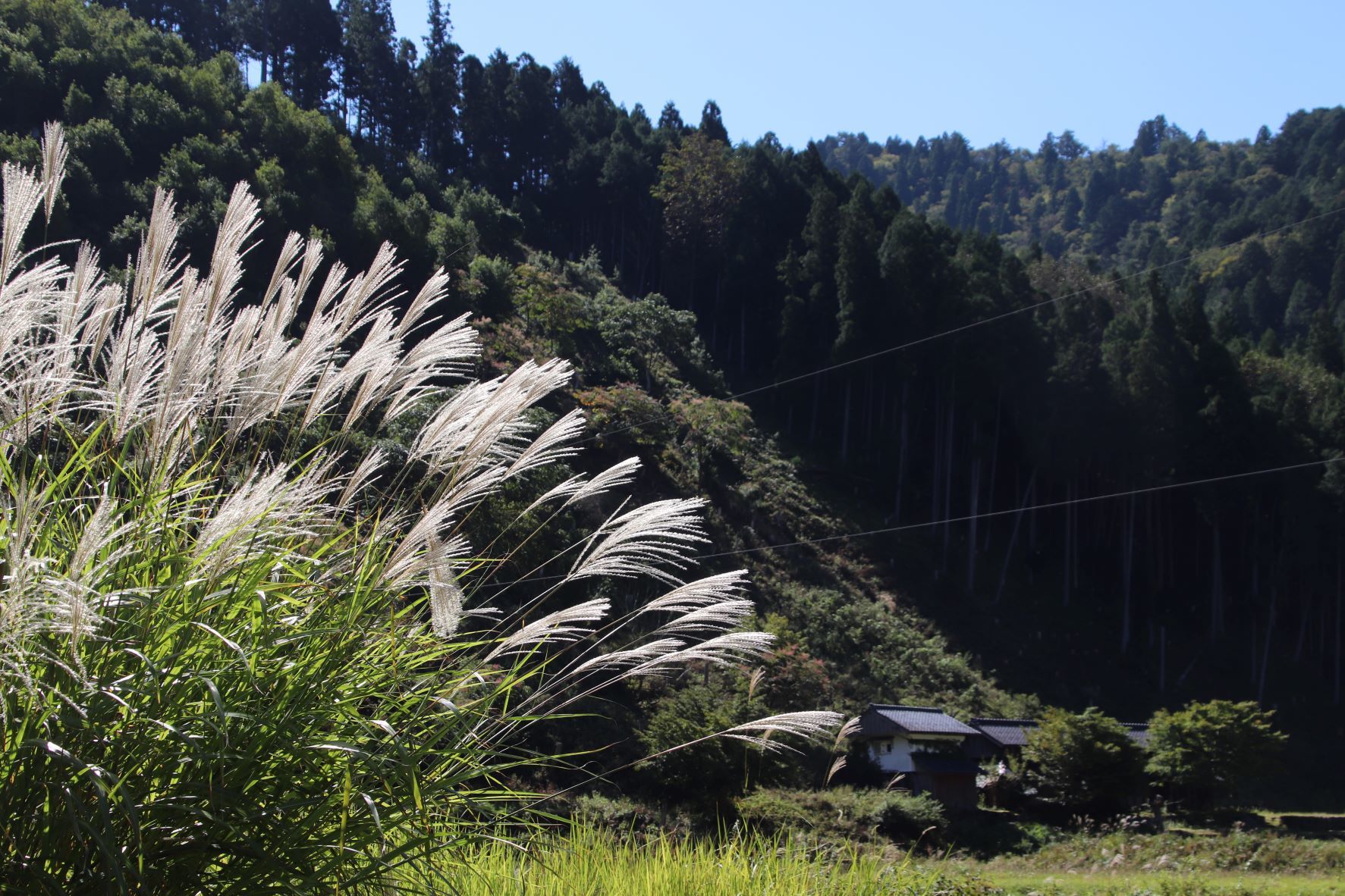 花脊別所から美山「茅葺の里へ」_e0048413_21204353.jpg