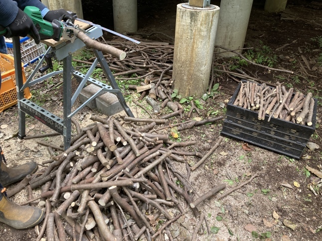 すっかり秋の庭仕事_d0348118_19311242.jpeg