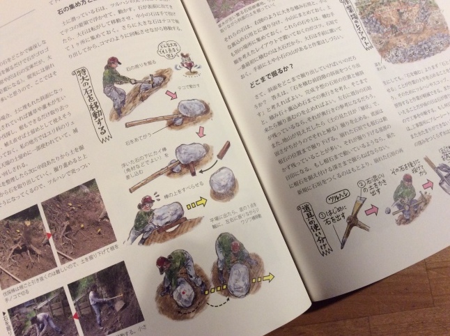 すっかり秋の庭仕事_d0348118_21155438.jpeg