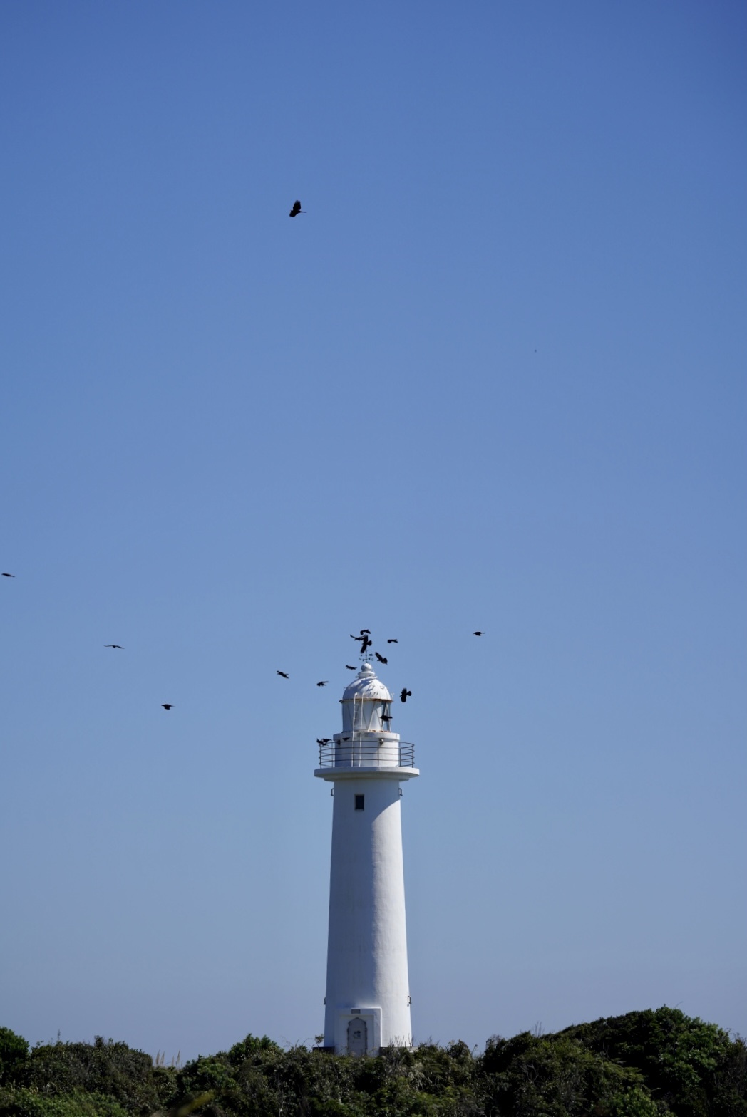 まゝに/10月の散策 伊豆半島 その2_d0342426_07333531.jpeg