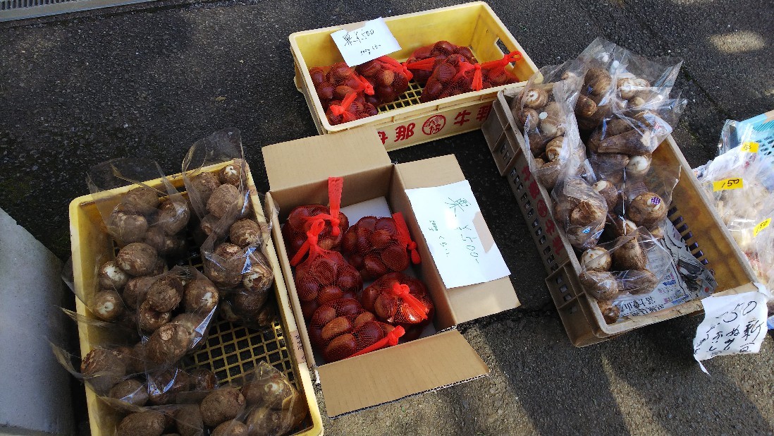 静岡県田方郡「酪農王国オラッチェ」朝市でジャンボ落花生と栗などを買いました♪_c0404632_05500145.jpg