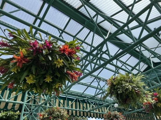 残念なランド 出来る東京ディズニーシーとの違いとは何か 東京ディズニーリポート