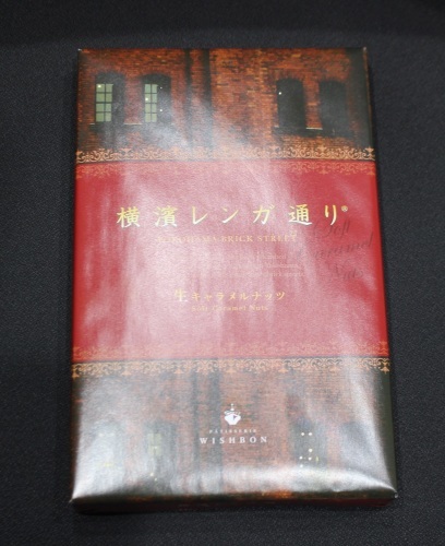 脚延長術 右下肢:ISKD+創外固定 左下肢:ISKD(178㎝→185.5㎝)_d0092965_03201222.jpg