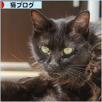 それでも、日は昇る_a0389088_14274859.jpg
