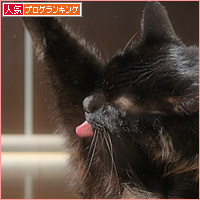 それでも、日は昇る_a0389088_14274882.jpg
