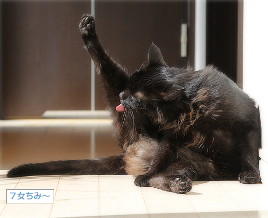 それでも、日は昇る_a0389088_14274883.jpg