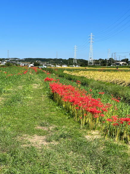赤い世界へ行ってきました♡_f0399901_06243507.jpg