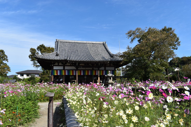 第450回 大阪眼科集談会 その1(1214)_f0088231_17021358.jpg