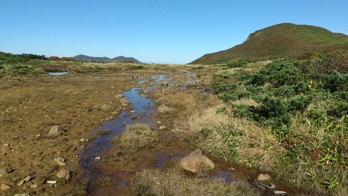 我慢できず、山登り_c0077252_21280136.jpg