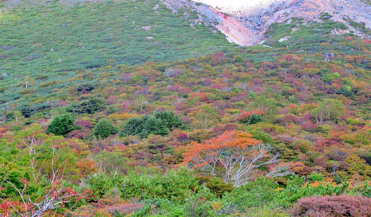 紅葉の那須岳、スペシャル横断ルートを縦走&#127810;&#127809;(2022.10.1)_e0368467_19581374.jpg