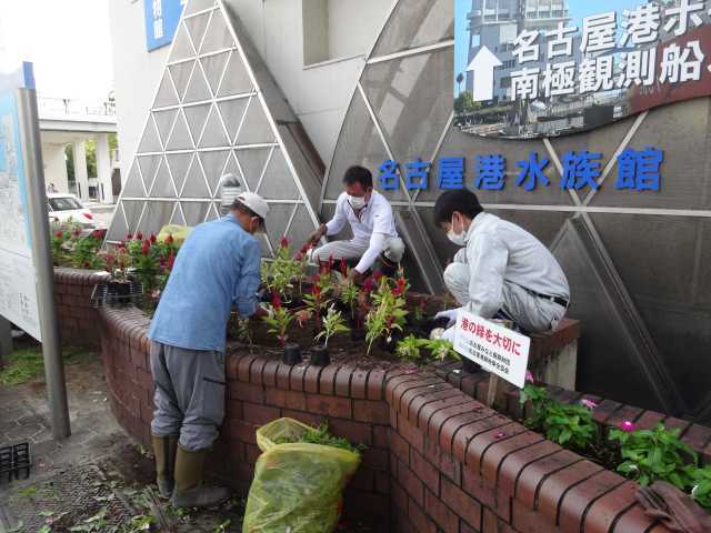 ガーデンふ頭総合案内所前花壇の植替えR4.926_d0338682_08040801.jpg