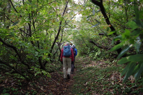増毛山道トレッキングガイドツアーに行ってきました!_d0198793_16022354.jpg