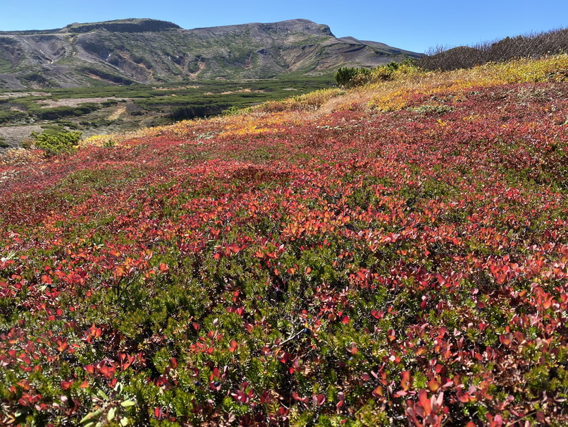 2022年9月 『紅葉の大雪山に遊ぶ』 September 2022 \"Mt Taisetsu in the Autumn Color\"_c0219616_18165916.jpg
