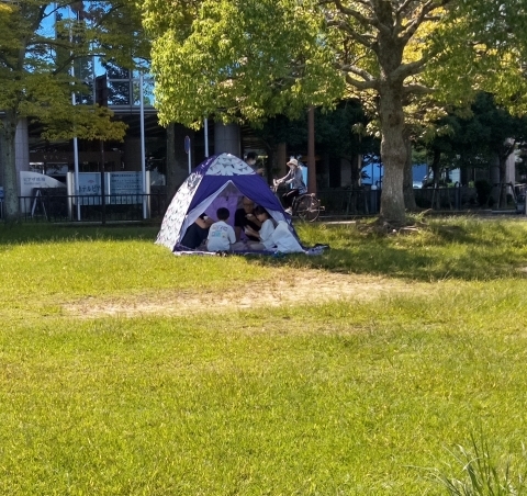 びわ湖湖岸なぎさ公園　里山歩きサークル_b0108282_17181280.jpg