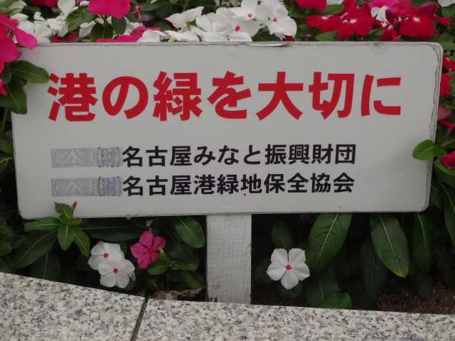 名古屋港水族館前花壇の植栽R4.10.3_d0338682_09135608.jpg