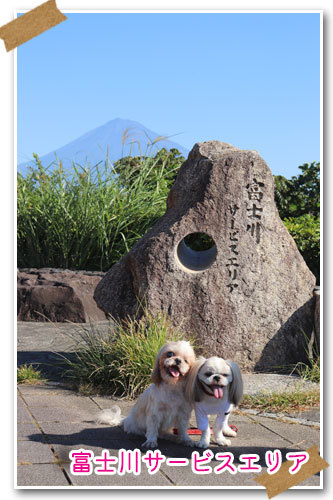 週末は 愛犬モモと永吉 拓海とお出かけ Kimi S Eye
