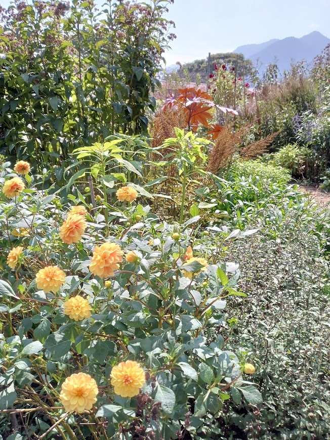 ヲタクと旅をする･････その１_b0331802_22311606.jpg