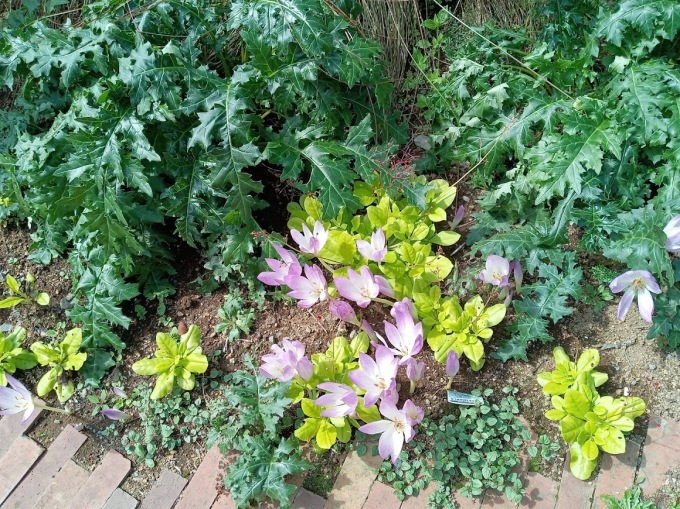 ヲタクと旅をする･････その１_b0331802_22312725.jpg