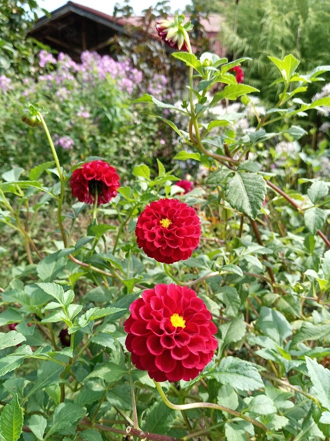ヲタクと旅をする･････その１_b0331802_22313193.jpg