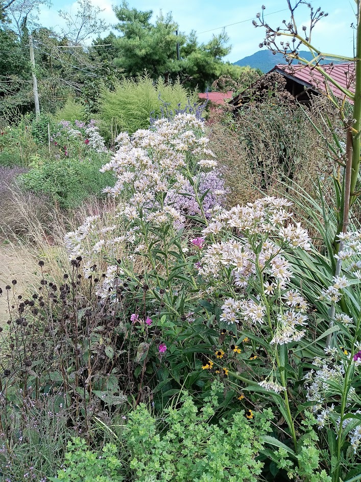 ヲタクと旅をする･････その１_b0331802_22330155.jpg