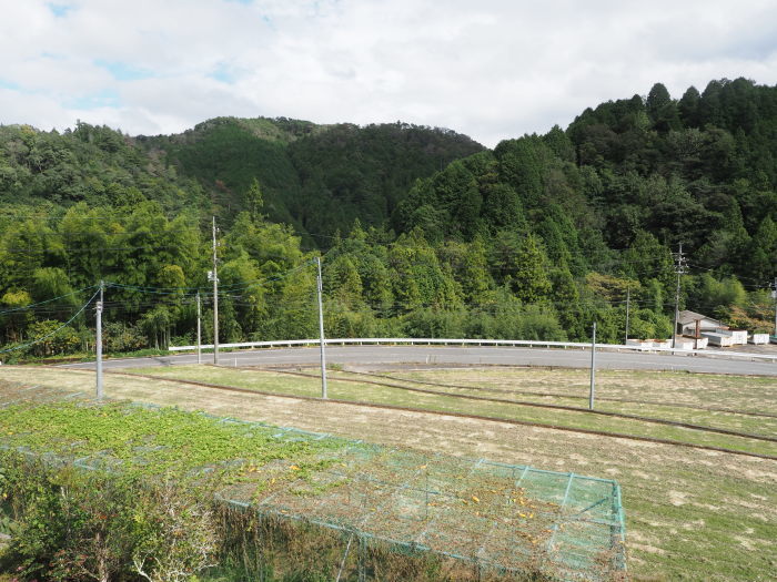 曇り時々晴れ時に雨_c0116915_00231176.jpg