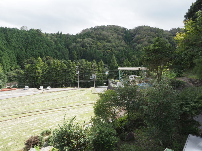 曇り時々晴れ時に雨_c0116915_00255632.jpg