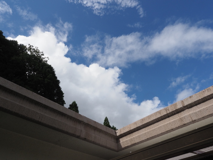 曇り時々晴れ時に雨_c0116915_00271611.jpg