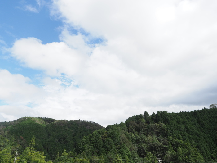 曇り時々晴れ時に雨_c0116915_00275638.jpg