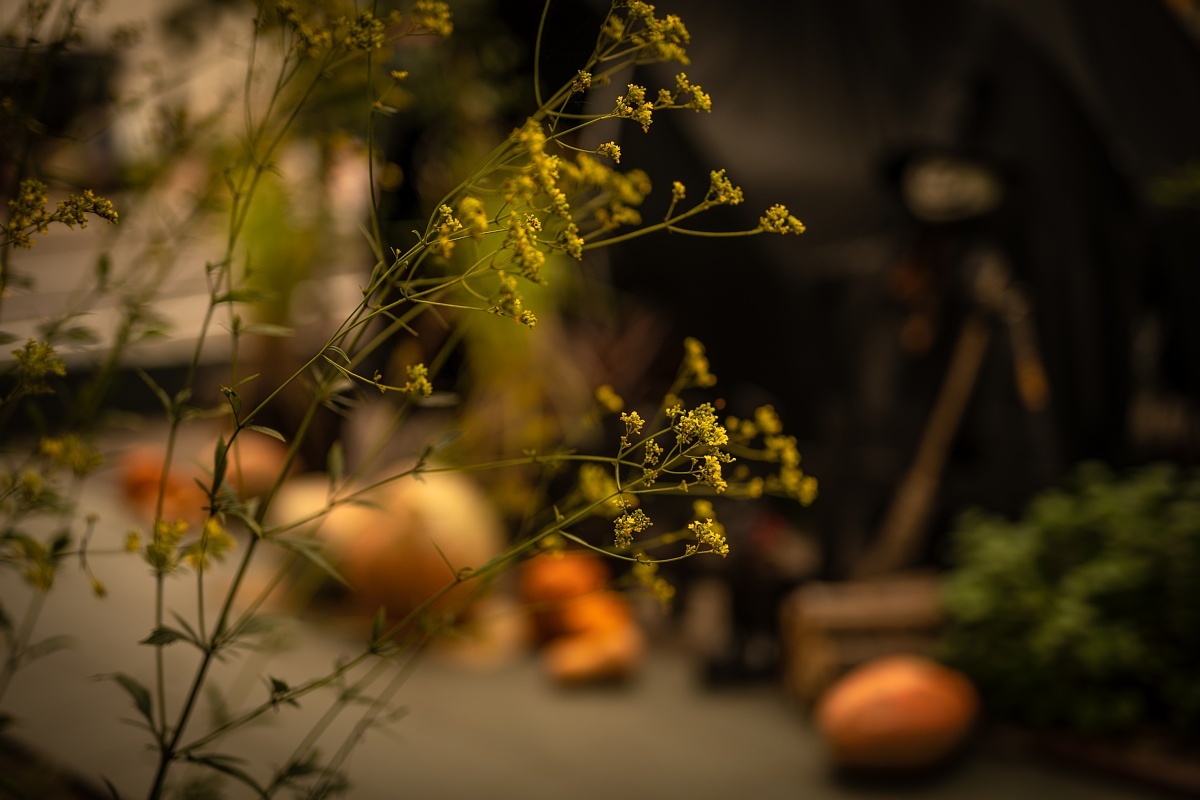 ハロウィンが近づく星の丘_d0353489_22522250.jpg